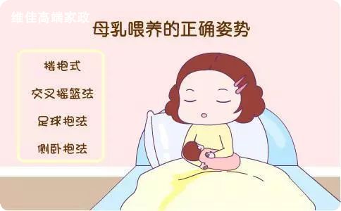 北京正规的月嫂公司